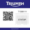 T1300111 Triumph Speed Triple R  | Generator-Pro24  