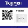 T1300509 Triumph Sprint ST 1050