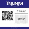 T1300502 Triumph Speed Triple