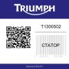 T1300502 Triumph Sprint ST