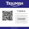 T1300510 Triumph Sprint ST