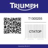 T1300205 Triumph Street Triple 660