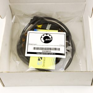 420296323 BRP CAN AM DS 450  | Generator-Pro24  