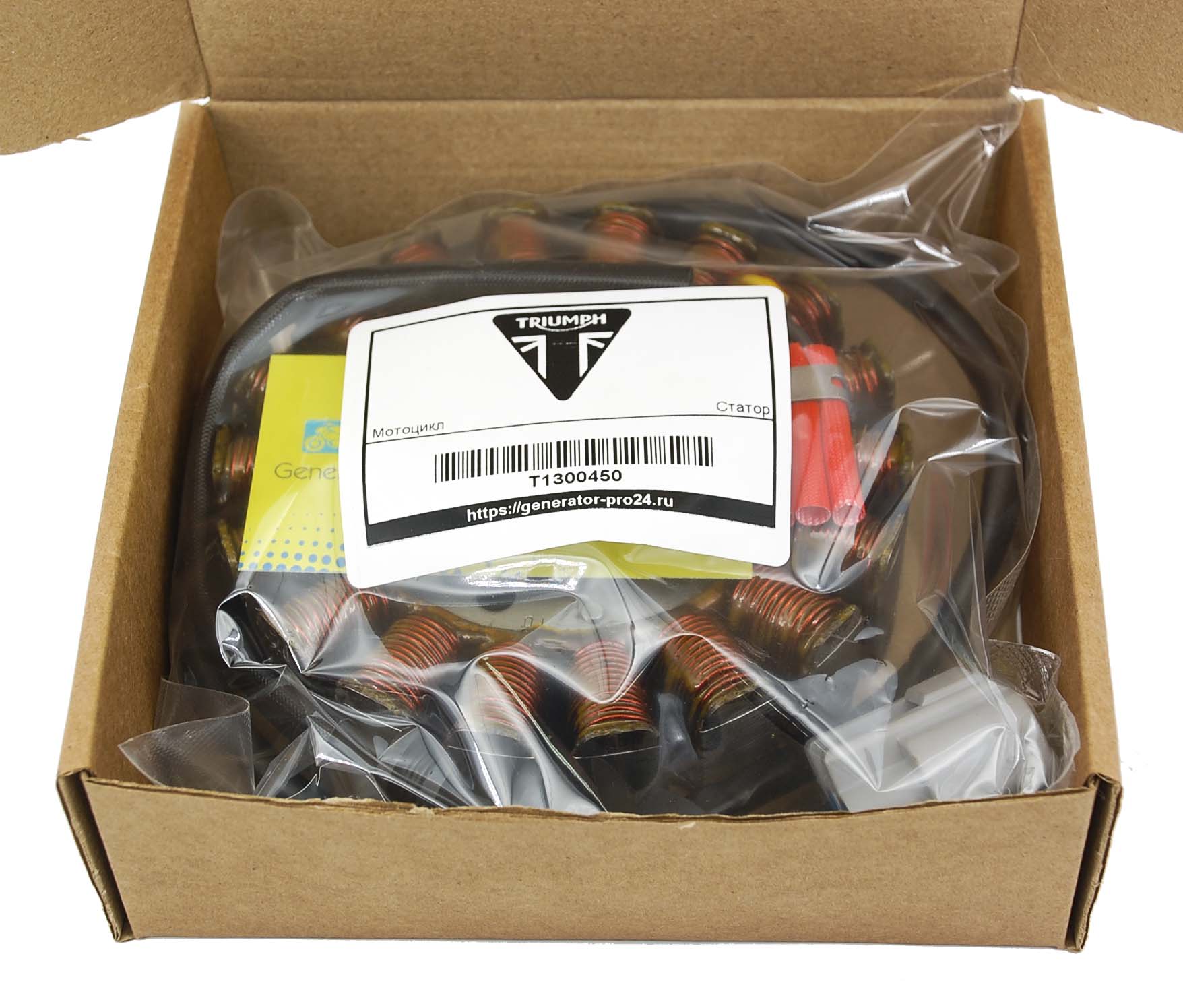Статор мотоцикла T1300450 Triumph Rocket III
