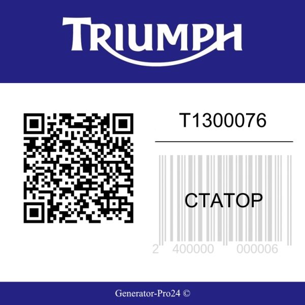 Статор T1300076 Triumph Bonneville T100 Carb  | Generator-Pro24  