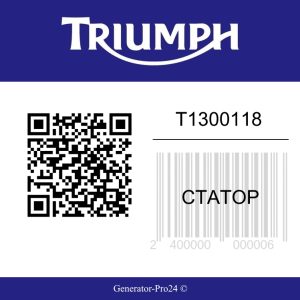 Статор T1300118 Triumph Speed Triple R
