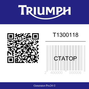Статор T1300118 Triumph Speed Triple S