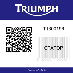 Статор T1300196 Triumph Speed Triple RS