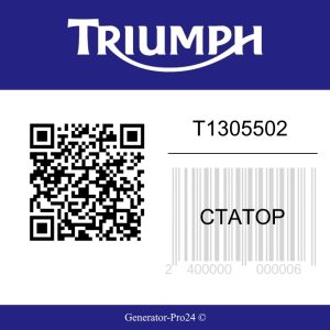 Статор T1305502 Triumph