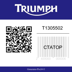 Статор T1305502 Triumph