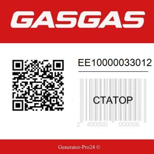 Статор EE10000033012 GAS GAS Ec 250 300  | Generator-Pro24  