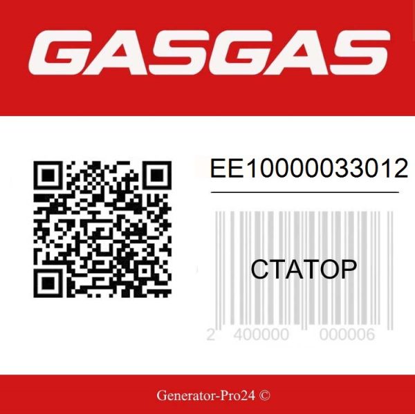 Статор EE10000033012 GAS GAS Ec 250 300