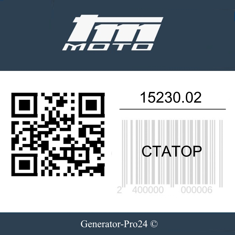 Статор TM Racing 125 OEM#15230.02